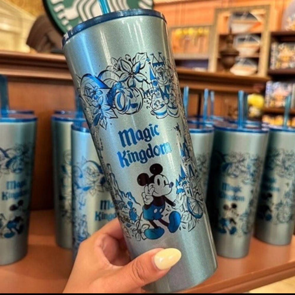 Disney Parks 2023 Magic Kingdom Castle Park Icons Metal Tumbler Cup Starbucks